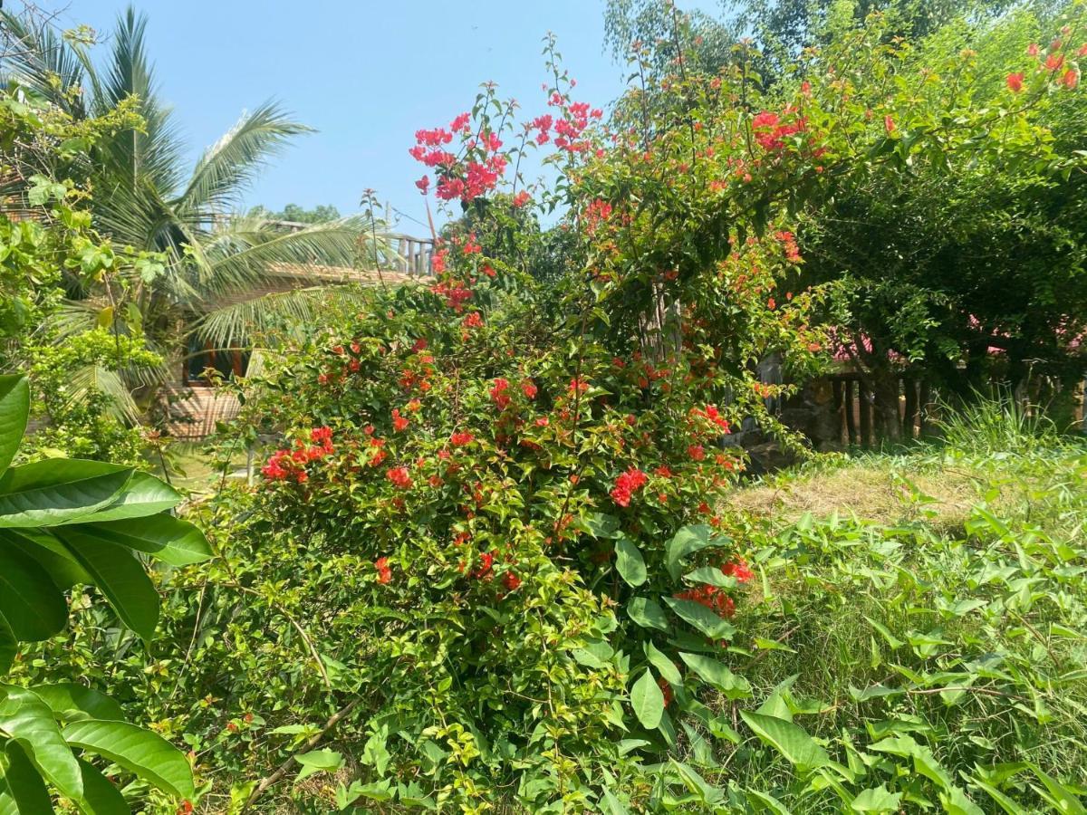 Ngoc Tien Farmer Eco Lodge Cat Tien Luaran gambar